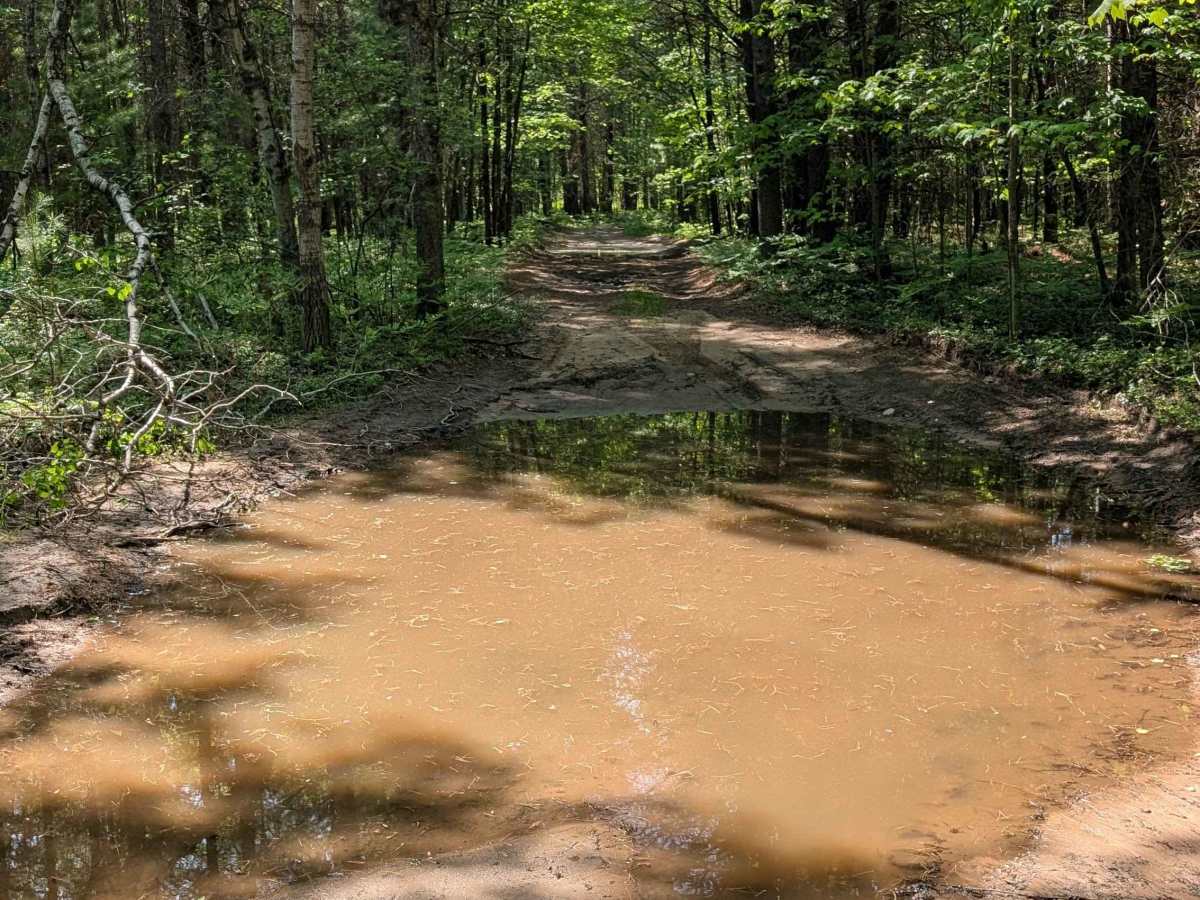 Trophy Acres Hunters Trail photo 5