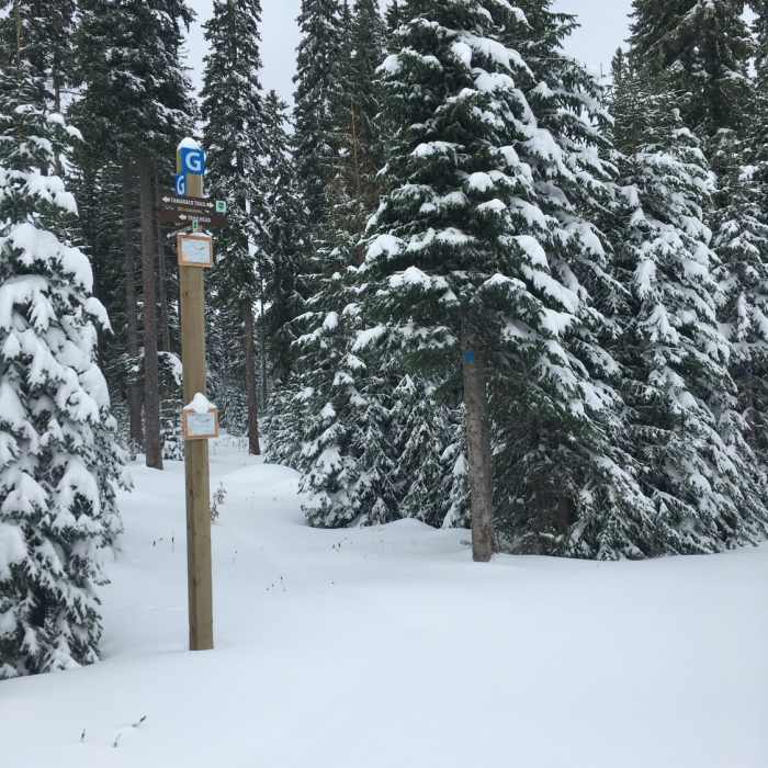 Near Hoot & Holler (Snow Trail)
