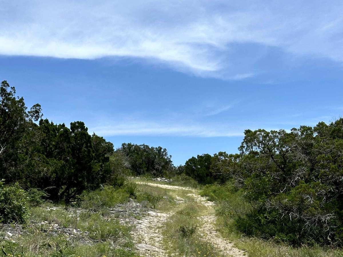 Tower Trail photo 3