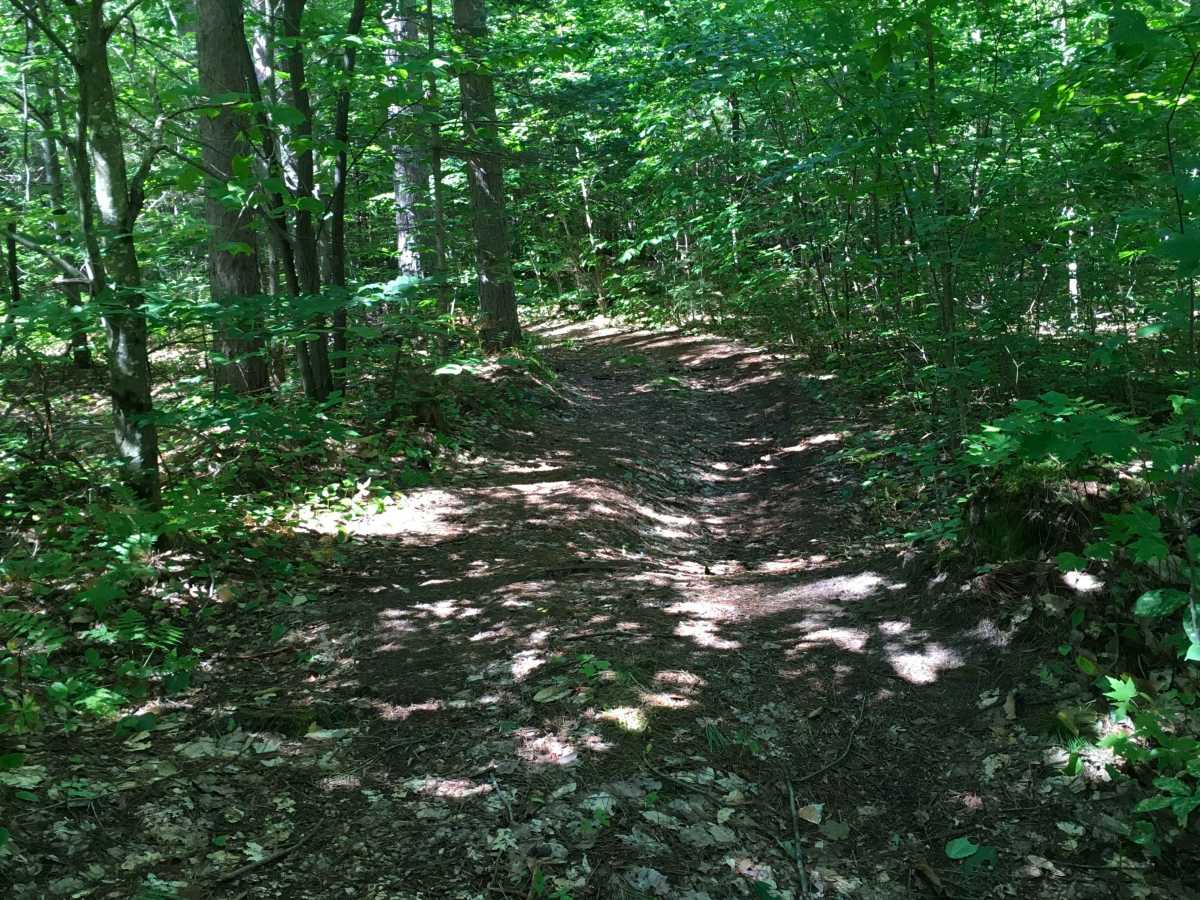 McLachlan Road - FS 3455 trail photo