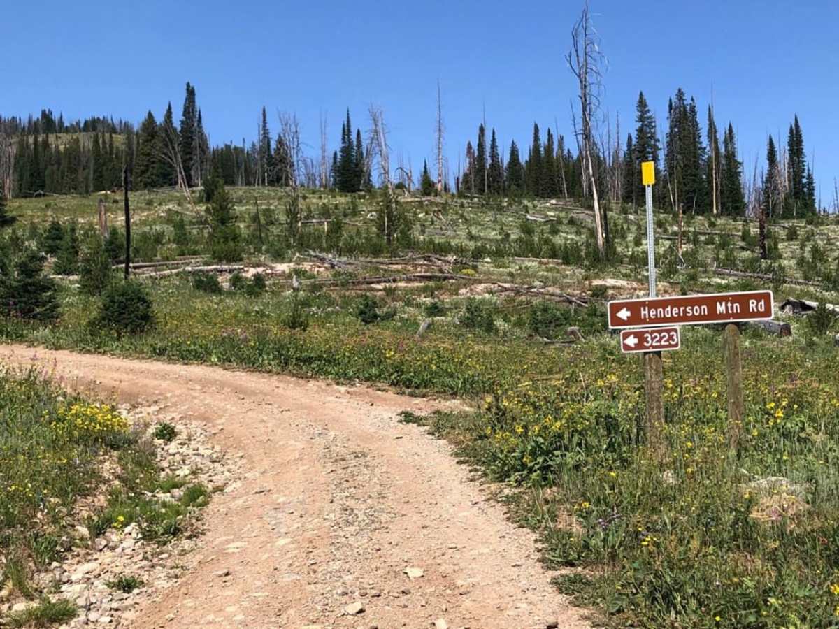 Henderson Mountain Road trail photo