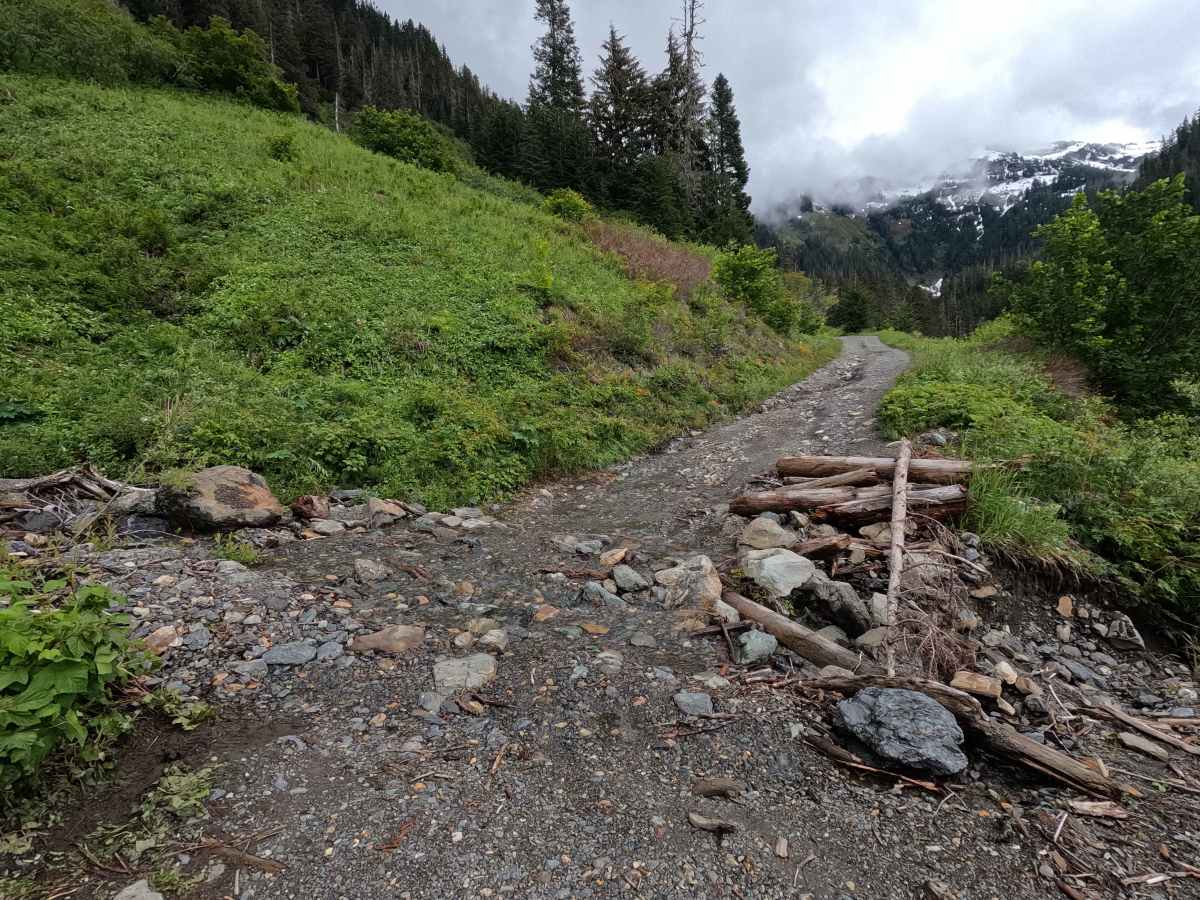 Twin Lakes Road - FS 3065 photo 4