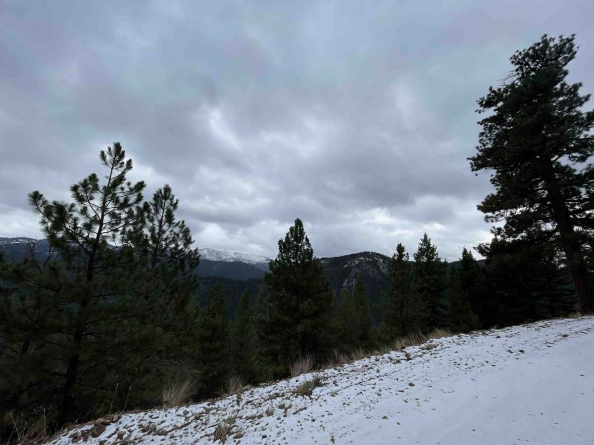 Wheeler Creek photo 4