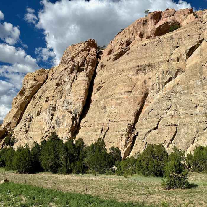 Near CDT: New Mexico Section 20 Near CDT: New Mexico Section 20