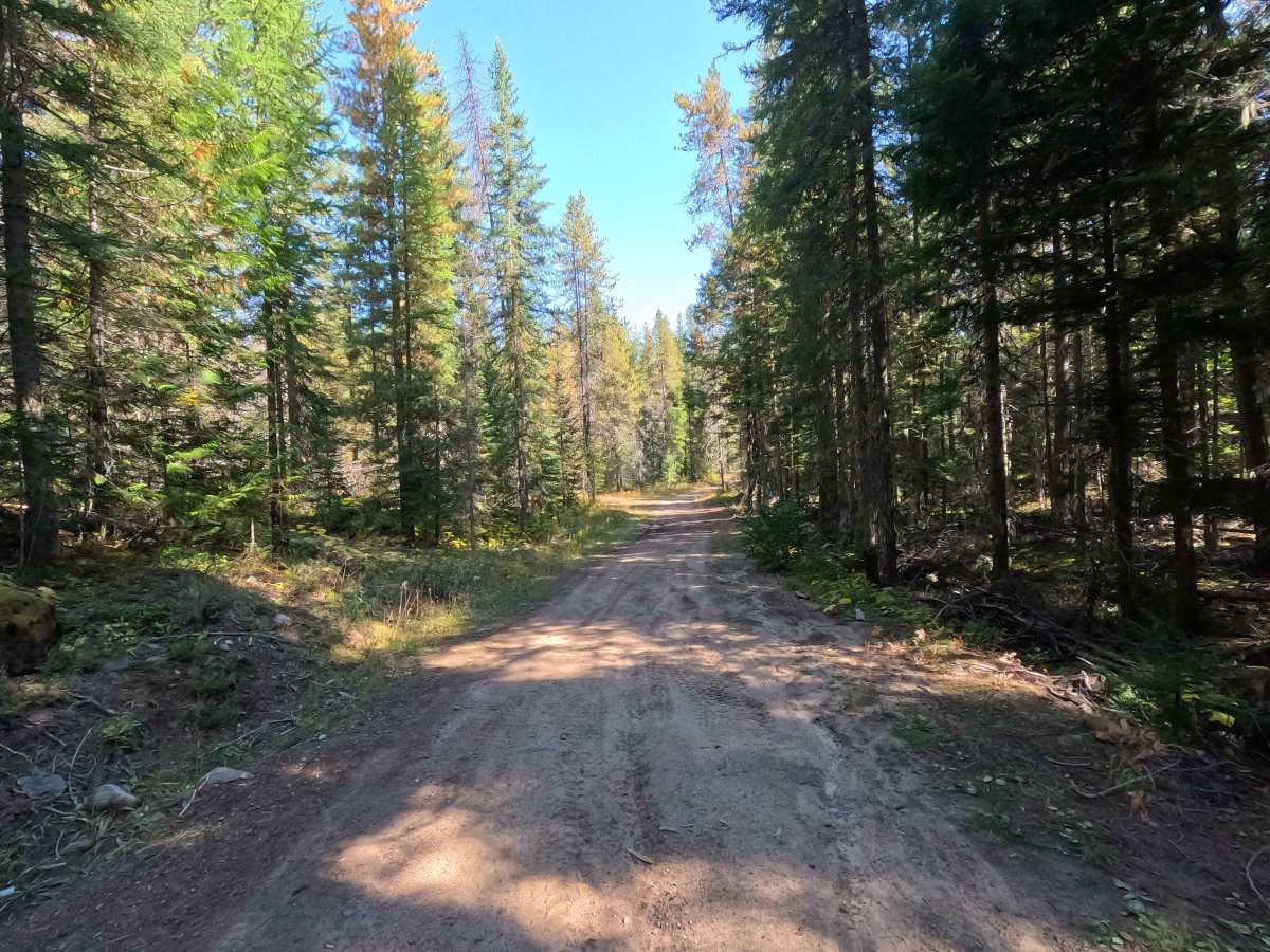 Little Twin Lakes Road - FS 7005300 photo 4