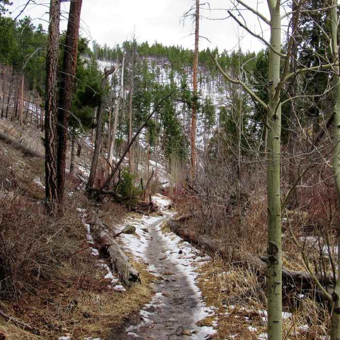 Beginning of the trail. Near Lower Dadd Gulch Trail (#988)