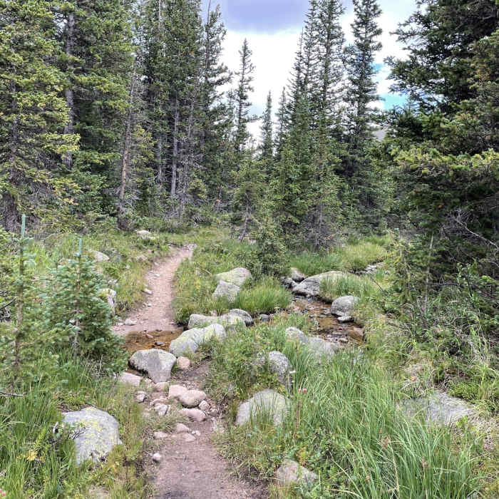 Near North Fork Trail