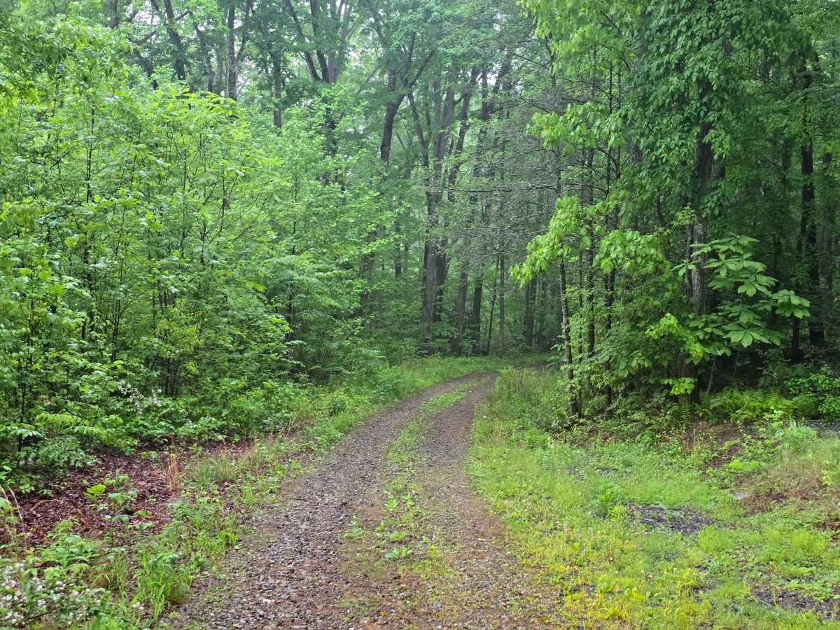 Three Fork Gap photo 3
