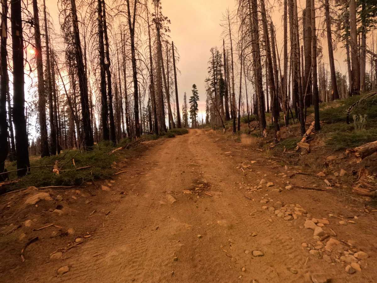 Red Lakes Road - FS 8S042 photo 5