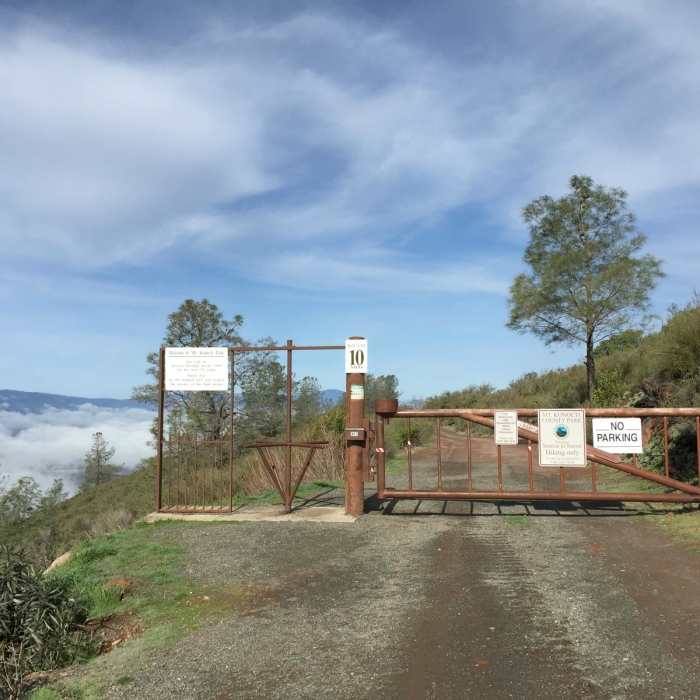 Near Wright Peak Summit Trail