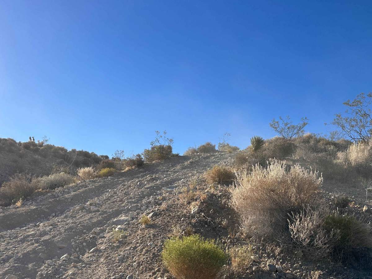 Falcon Ridge photo 4