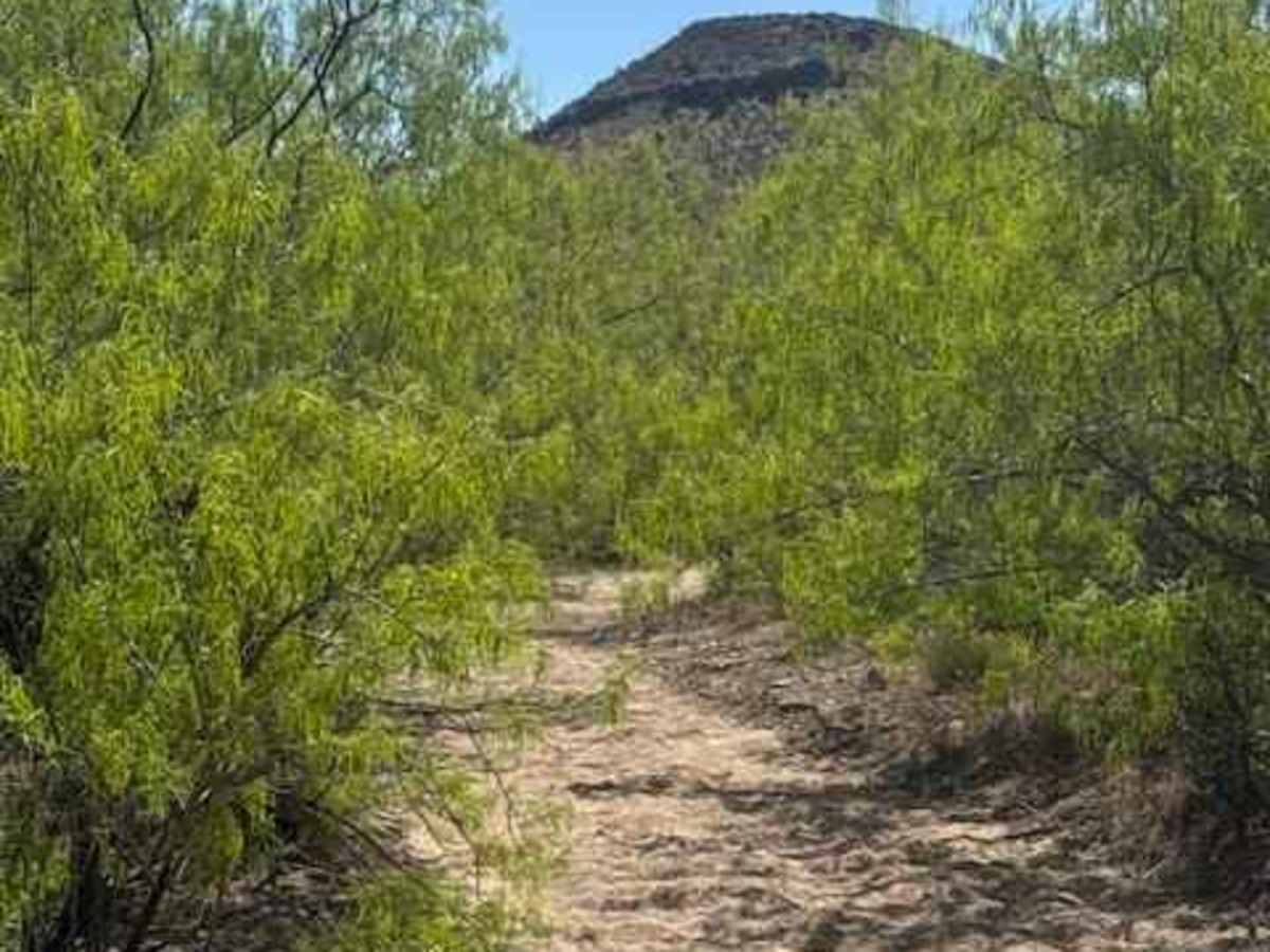 Sheppard Wash Trail  photo 4