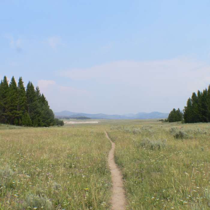 Near Pelican Valley Trail