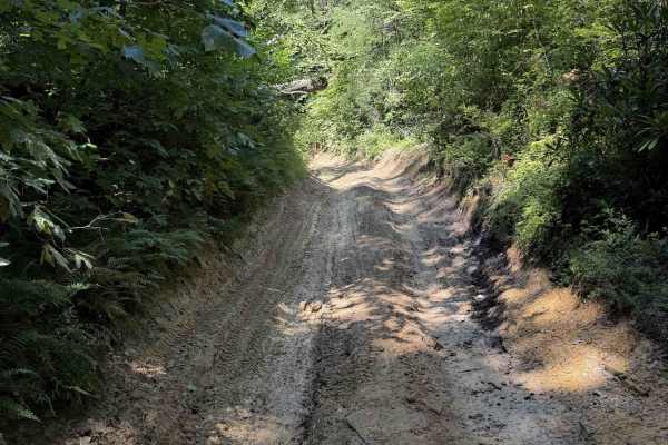 Jennings Creek Trail 8 