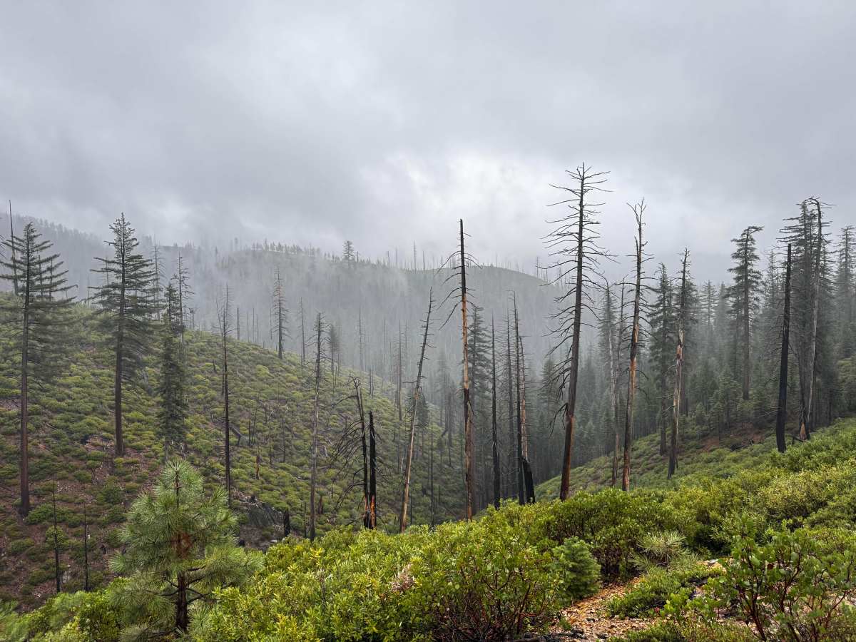 Travis Trail photo 3