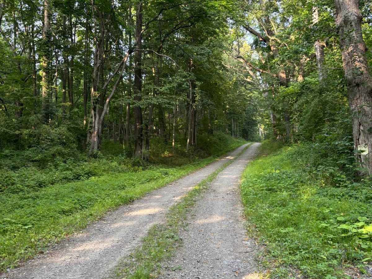 Wise Road photo 4