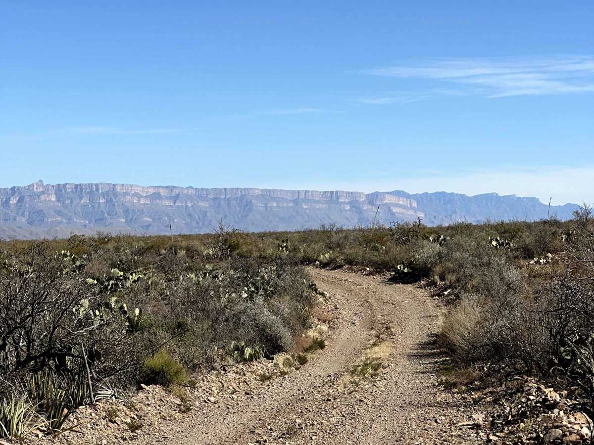 Lone Mountain Trail trail photo