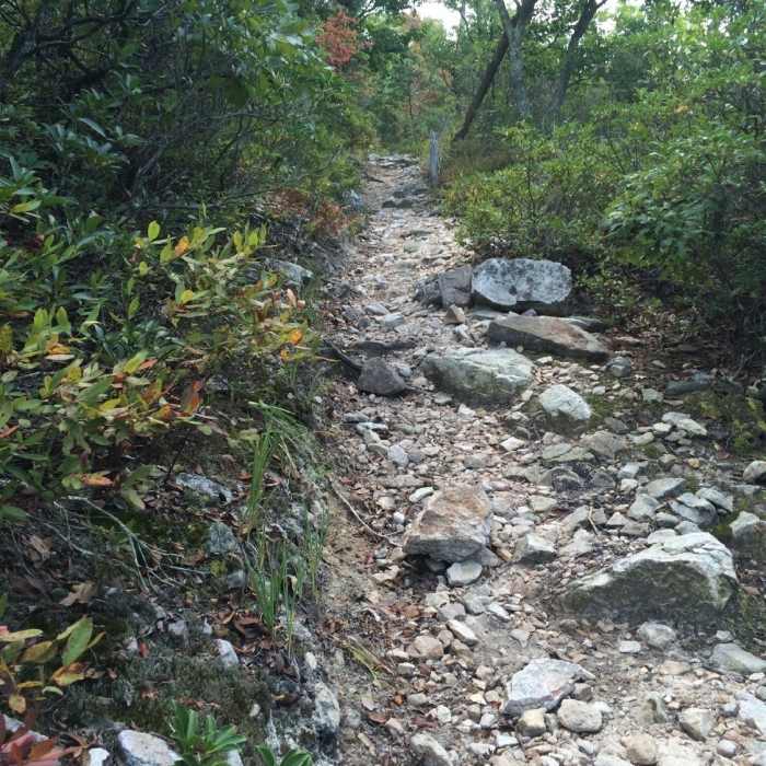 Steep, rocky trail (Tuscarora) heading back to the ridge Near Signal Knob