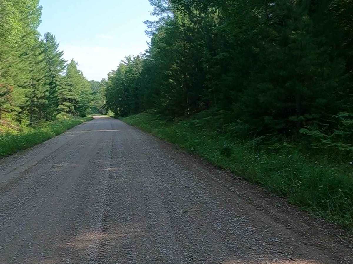 Mormon Creek Road - FSR 2231 trail photo