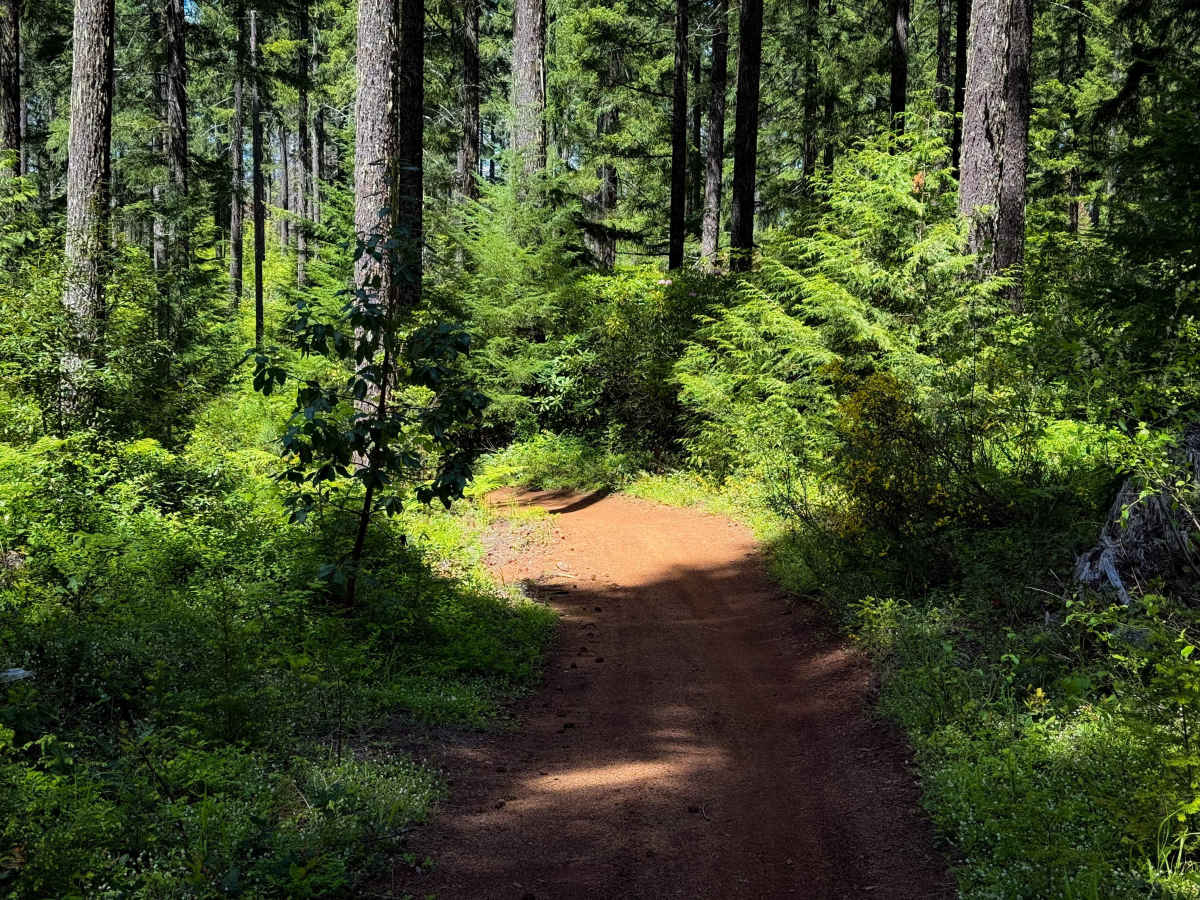 107 (North)  photo 5