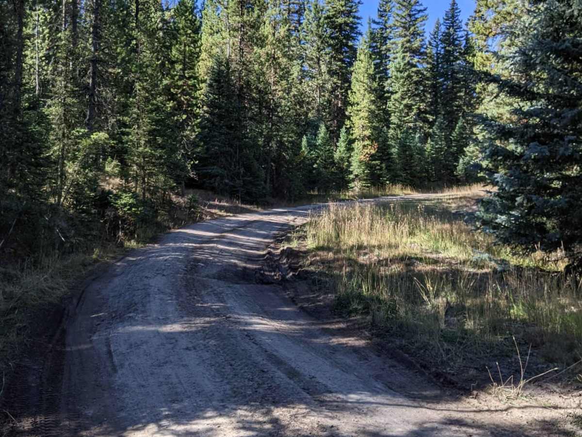 Moose Creek to Portal Creek Rd photo 3