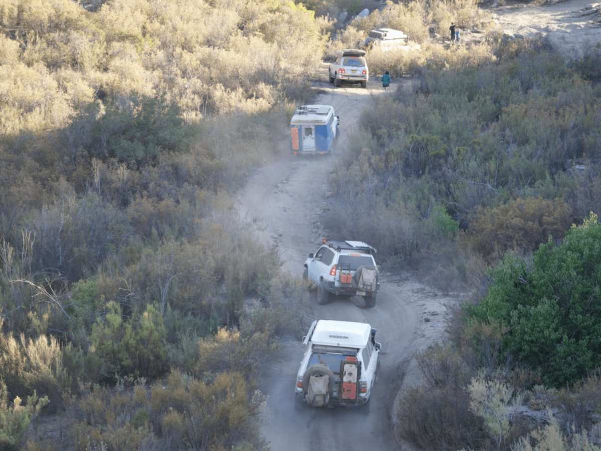 Coyote Mikes photo 3