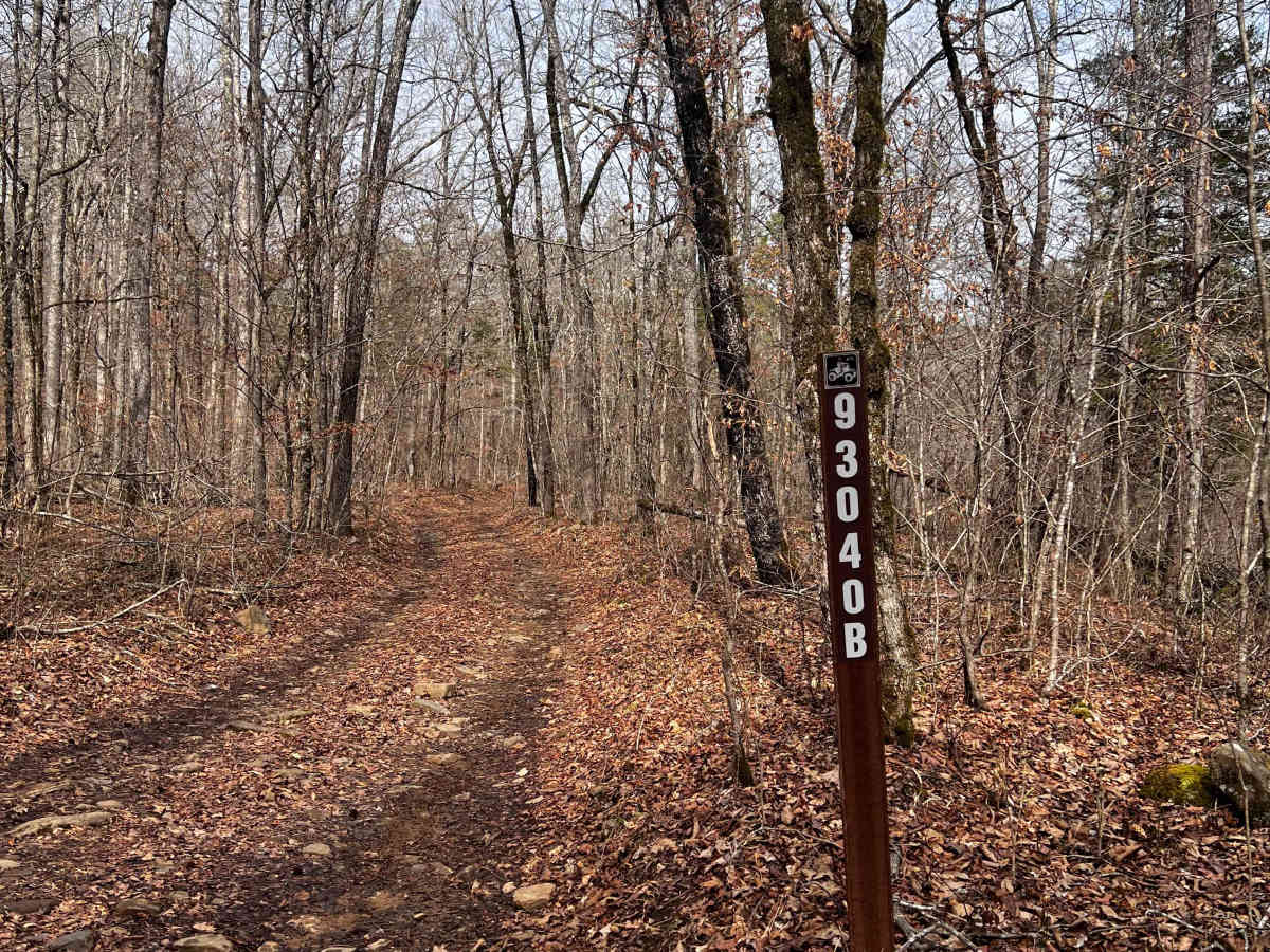 Hogg - FS 93040B trail photo