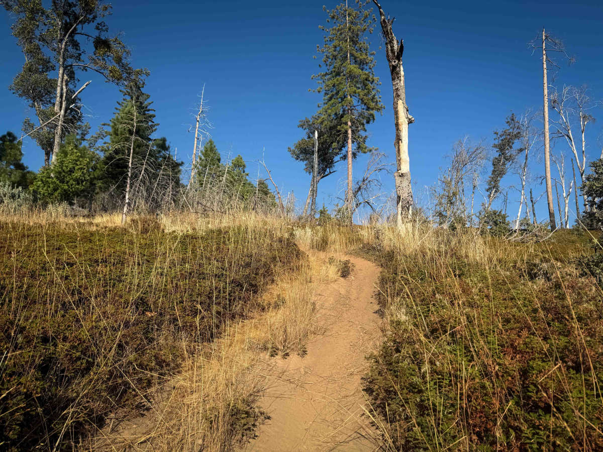 21E227B photo 5