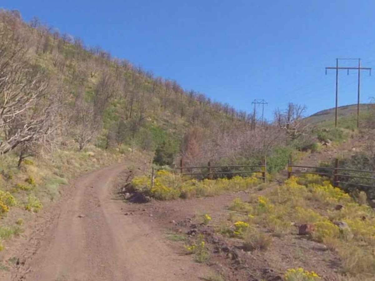 County Road 3469-PST42 photo 4