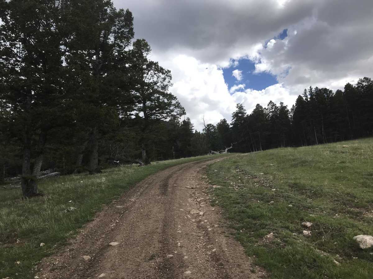554 Wildcat and 528 Geyser Creek photo 4