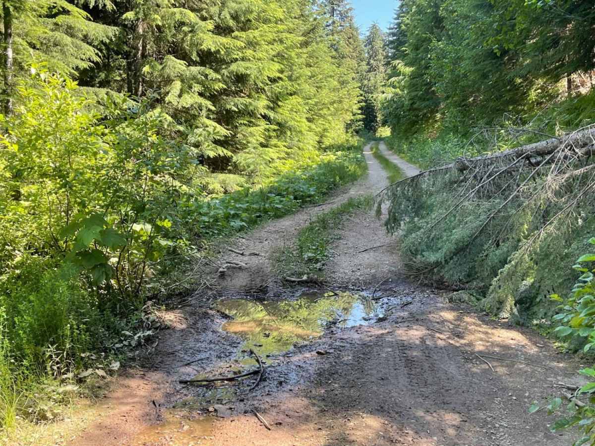 Deception Creek Circle photo 3