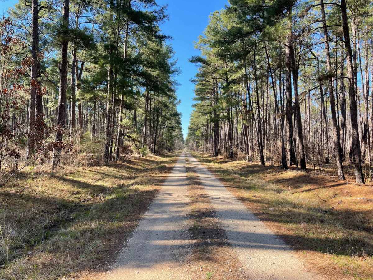 Red Hollow Run photo 5