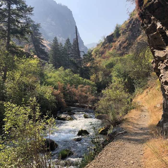Nice view of the canyon. Near West Fork Rapid River Trail #113