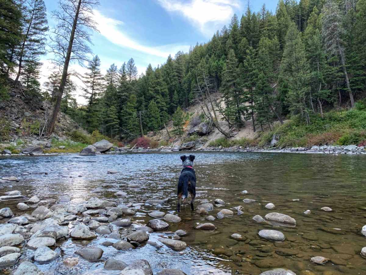 O'Brien Camping on the Salmon River photo 4