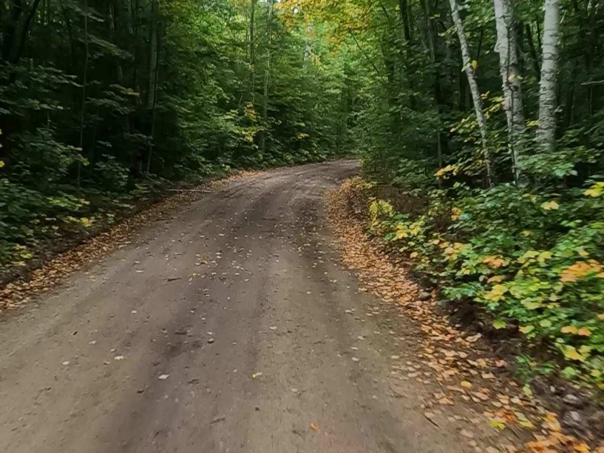 Fisher Road - FS 3005 (ORV Route Ai) photo 4