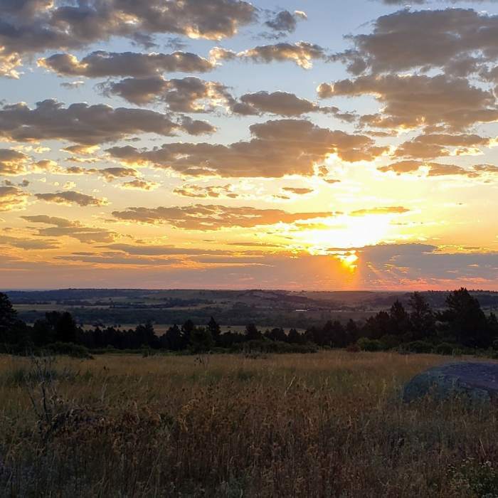 Near Lower Big Bluestem Trail