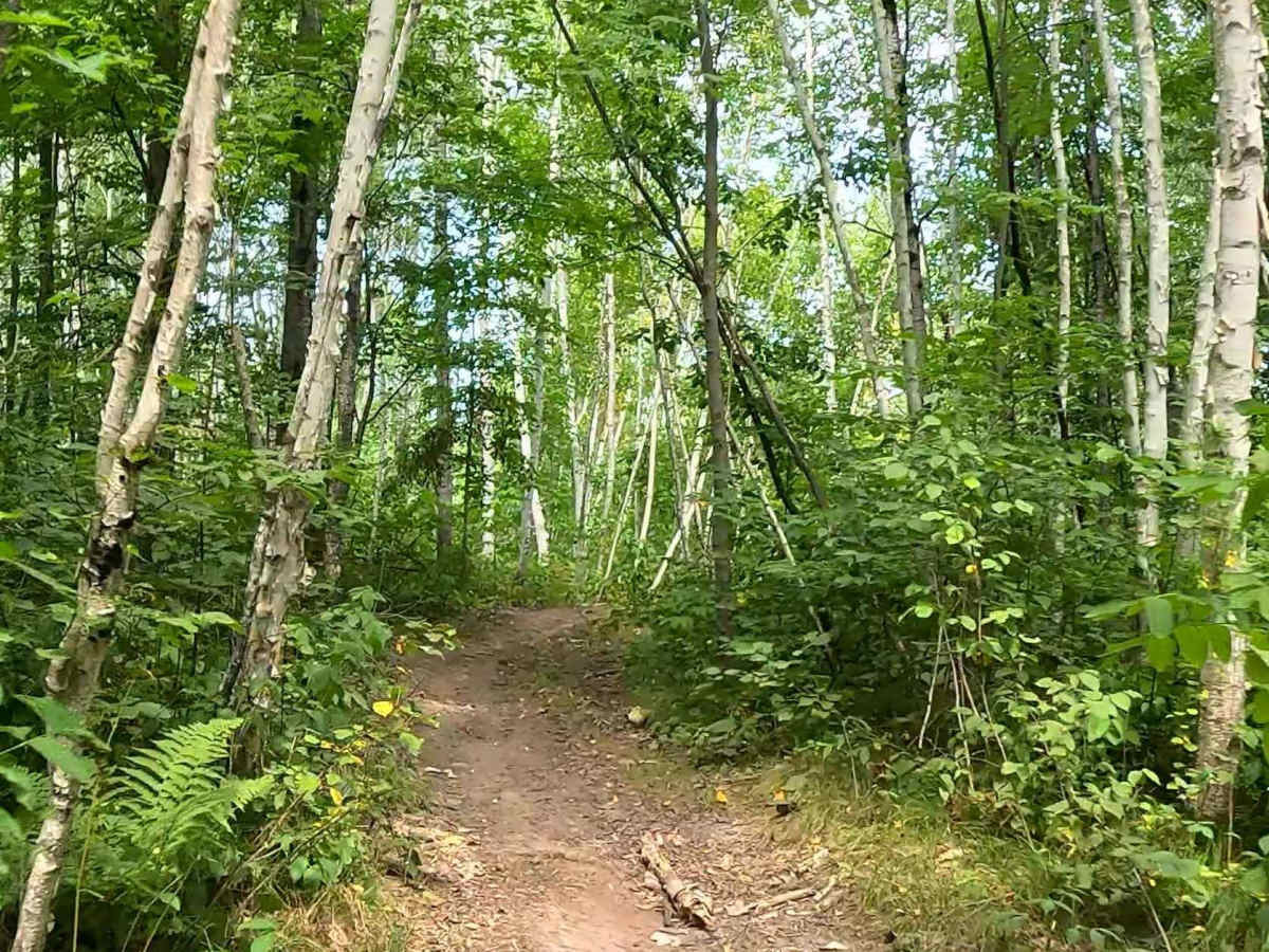 Chelsey Brook Trail photo 2