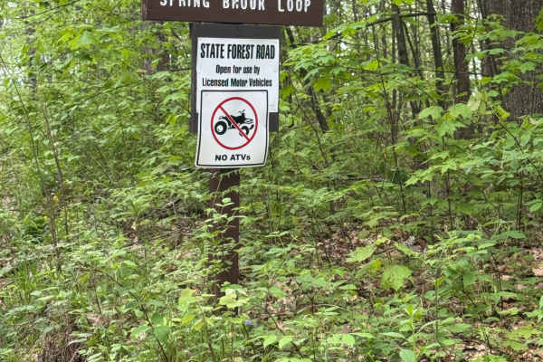 Spring Brook Loop
