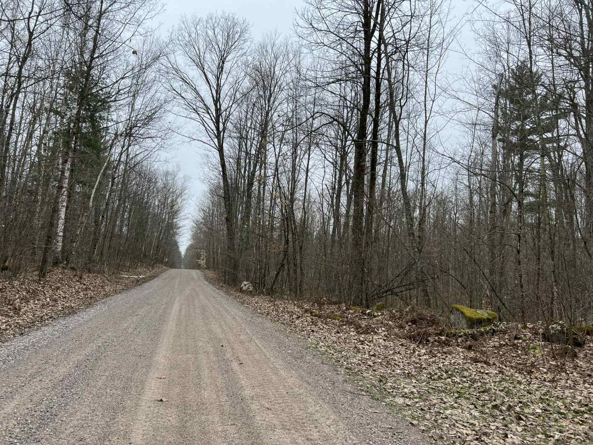 Sullivan Springs Road - FS 2330 trail photo