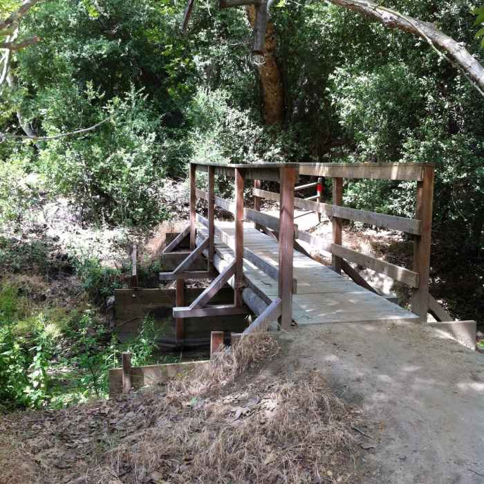 The north entrance to Coyote Run under a California Sycamore. Near Coyote Run Trail