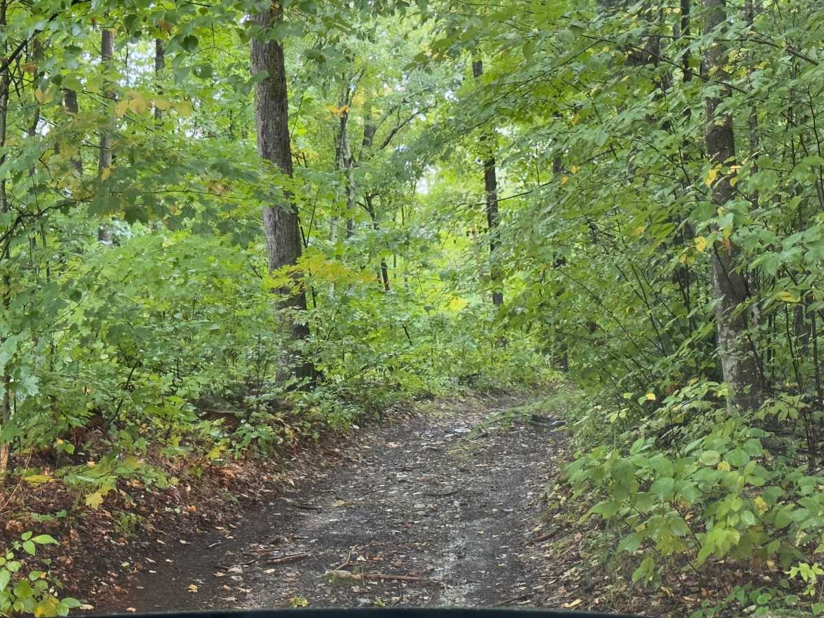 White Oak Road photo 3