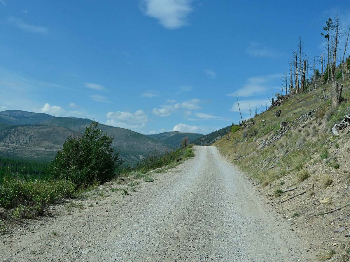 Indian Meadows photo 3