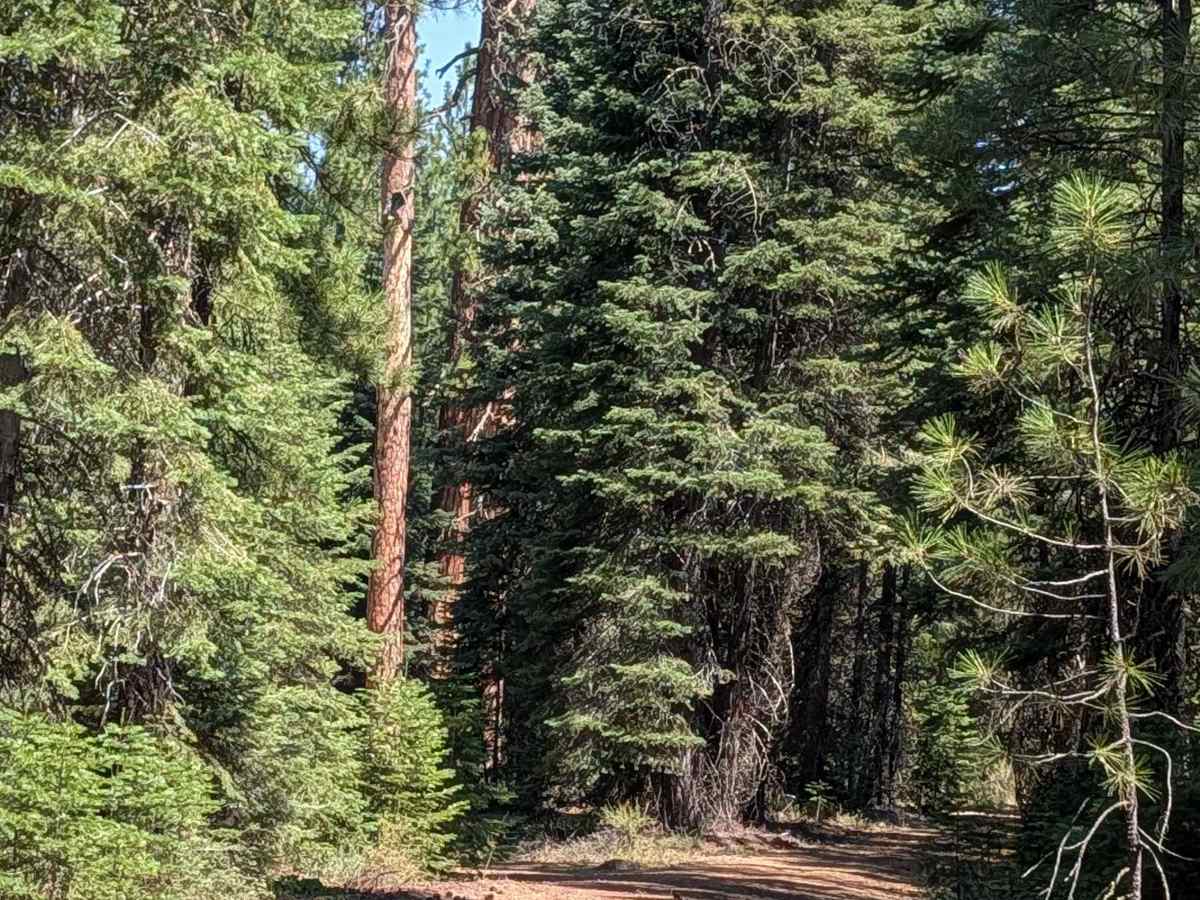 Porcupine Lake - FS 41N01 photo 2
