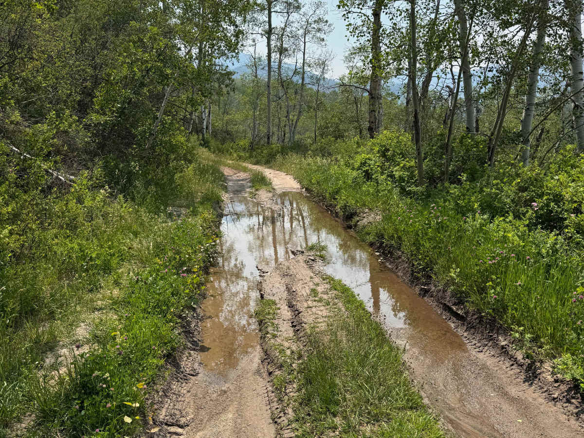 Old Fulford Road - FS 419  photo 6