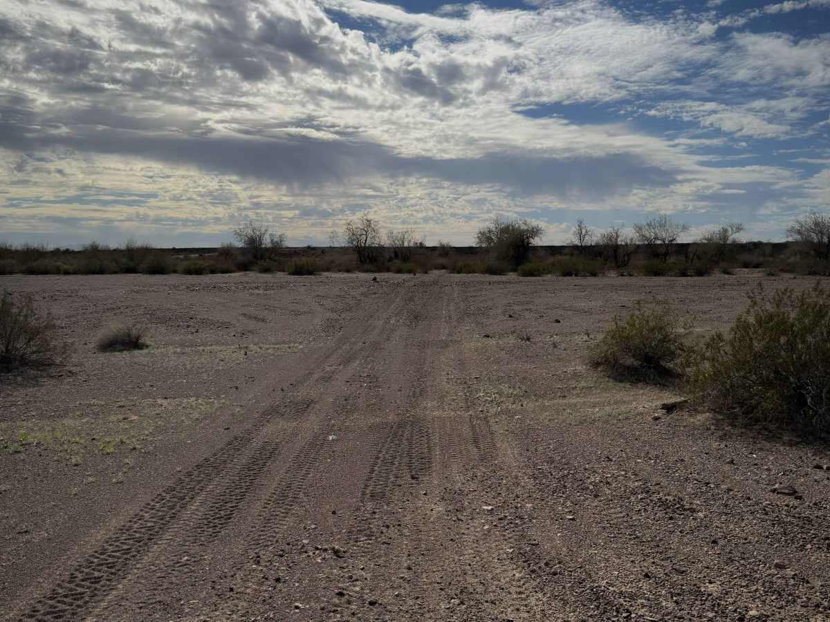 Sonoran Desert Flats  photo 4