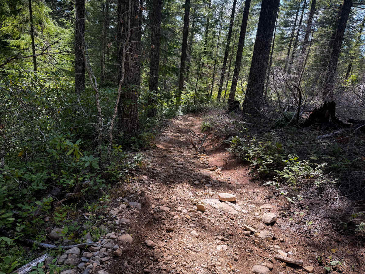 107 (South)  photo 3