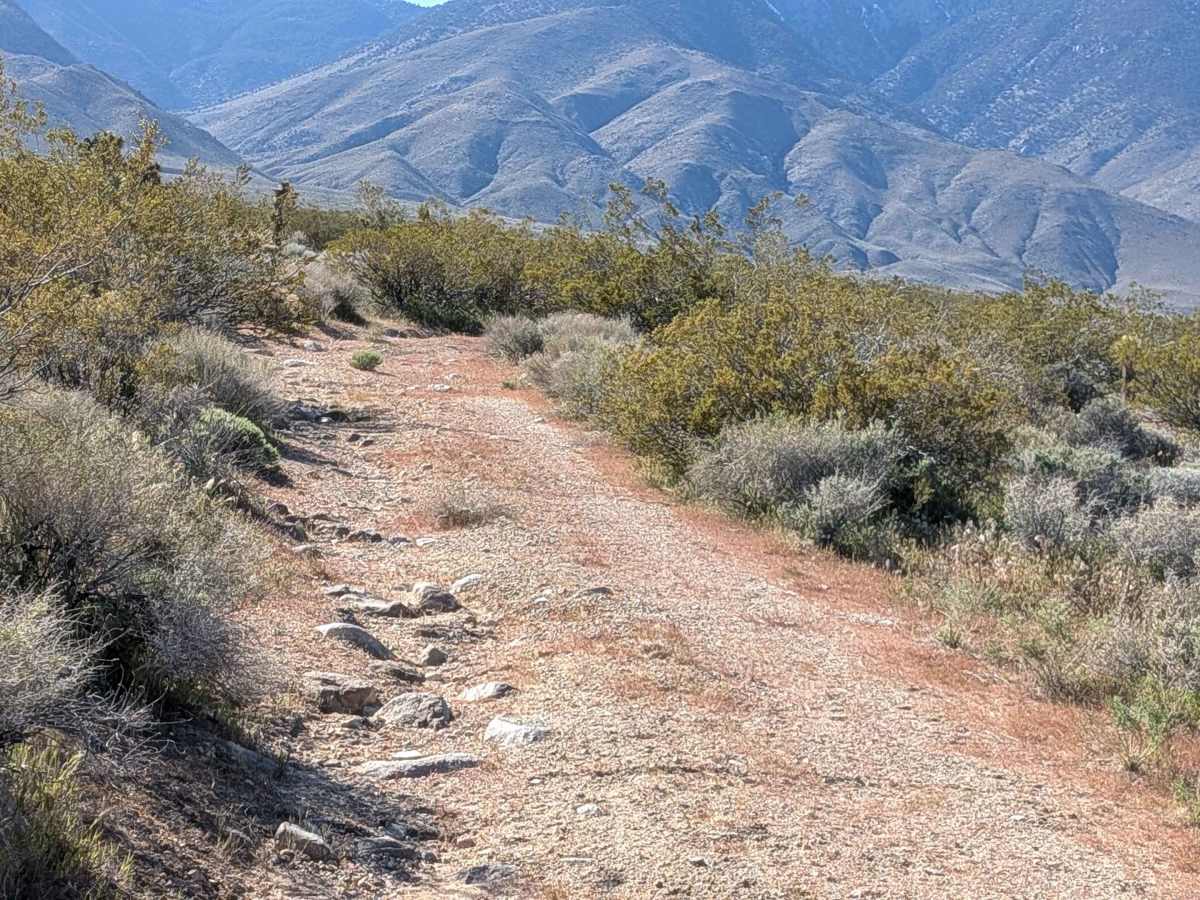 BLM 37E402 photo 5