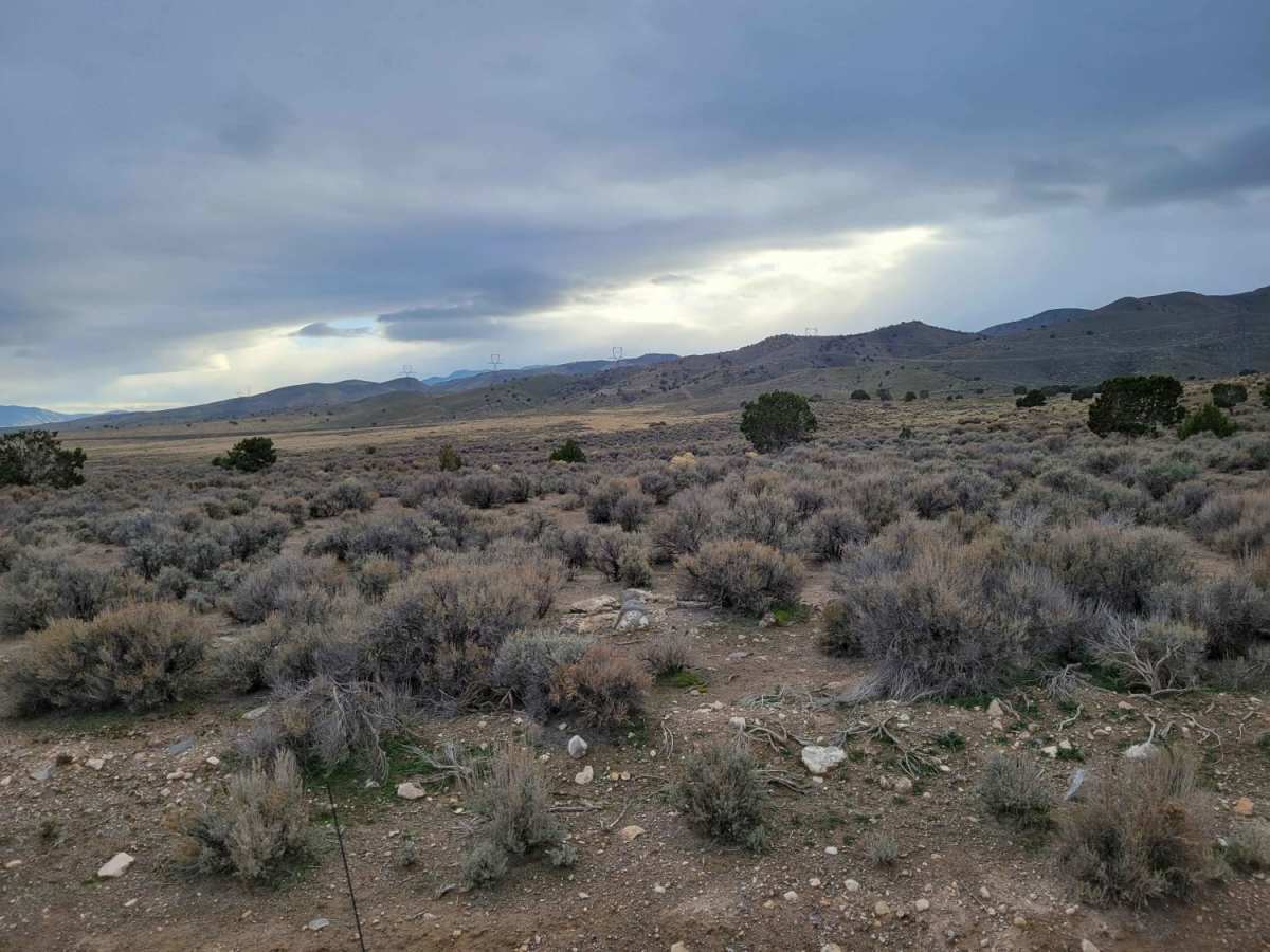 Elberta Slant Road photo 2