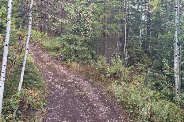 Little Deadman Road