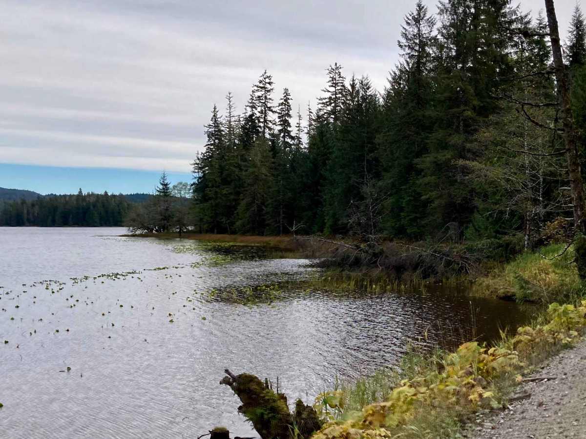 Twin Island Lake - FS 2700000 photo 4